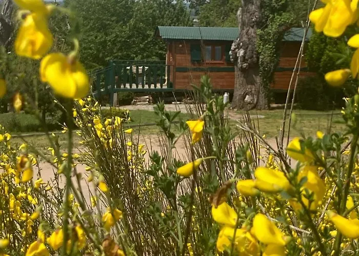 Domaine La Carriere Toulon-sur-Allier